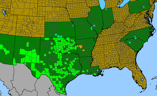 The range of Croton lindheimerianus